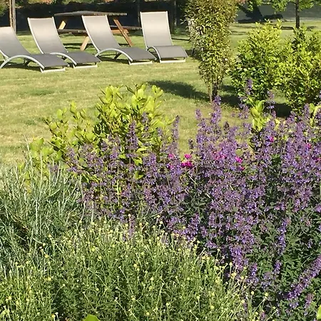 Frühstückspension Domaine Du Grenier Yffiniac